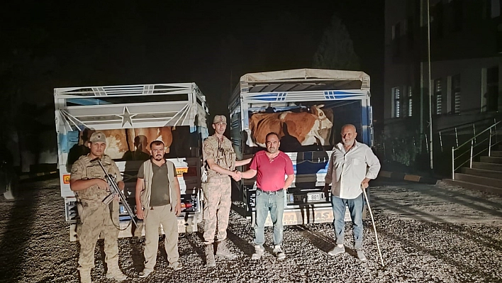 Çaldığı büyükbaş hayvanı satarken yakalandı