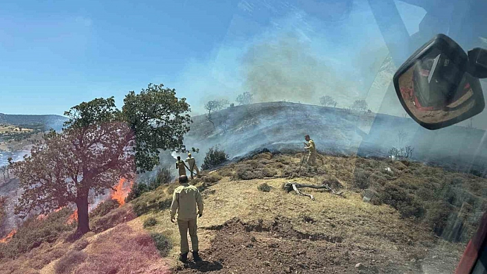 Çanakkale'de makilik alanda yangın