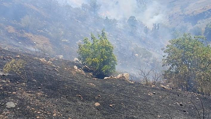 Çay ateşi ormanı yaktı