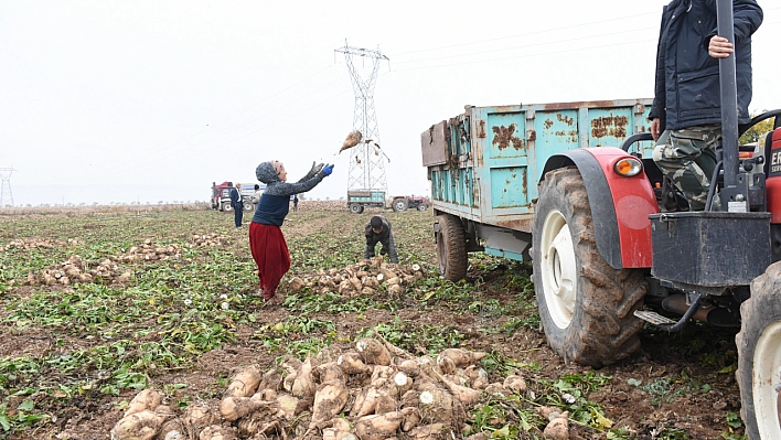 Çiftçi alım kampanyasının uzatılmasını istiyor