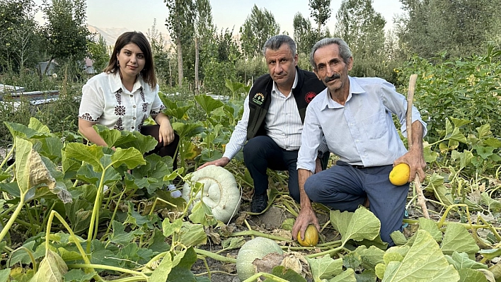 Çiftçi Babanın Gurur Tablosu