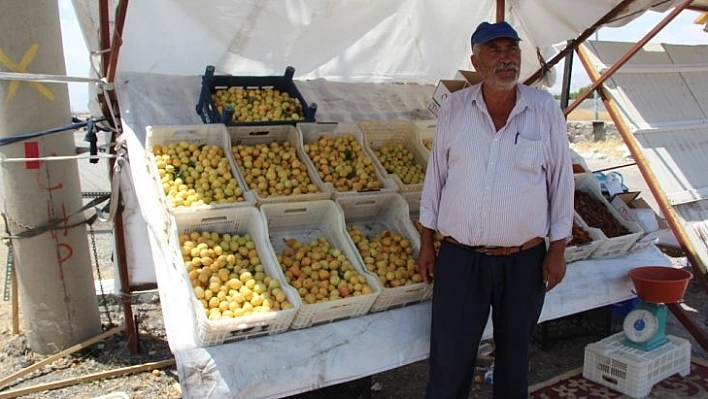 Güneşin altında ekmek parası