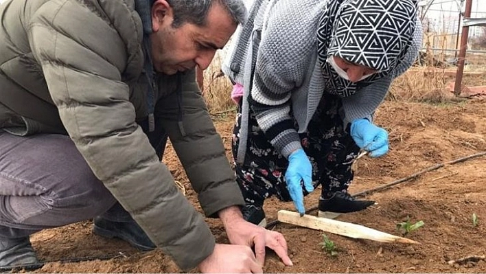 Çiftçilere destek ödemeleri başladı