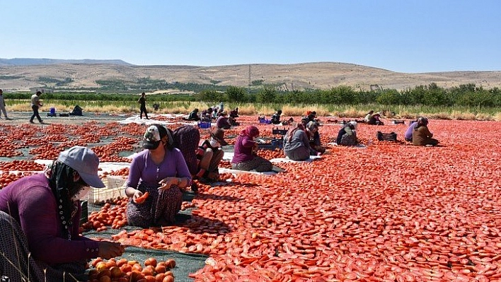 Çiftçilere örnek oldu