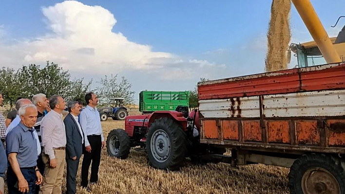 Çiftçilerin hububat hasadı