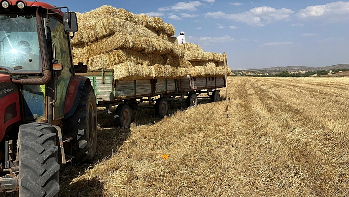 Çiftçilerin saman mesaisi başladı