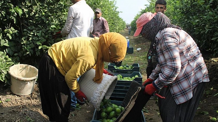 Çiftçilerin sorunlarına değindi, Malatya'yı örnek verdi!