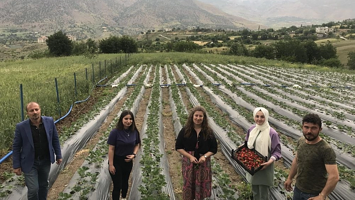 Çiftçinin yüzü gülüyor