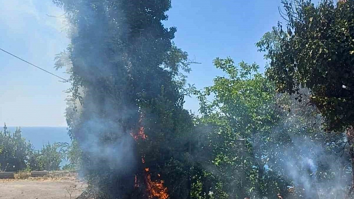 Çıkan yangın ekipleri harekete geçirdi