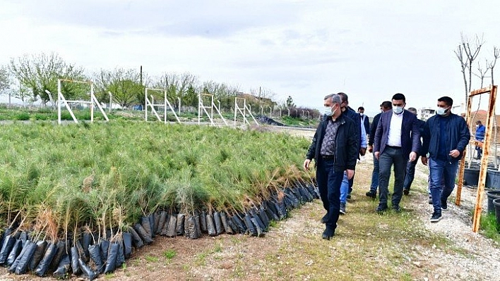 Çalışmaları inceledi