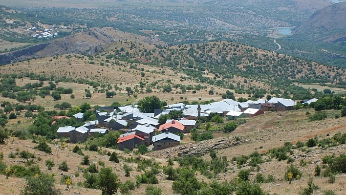 Çok Sayıda Yapı Tescillendi: Arapgir'de Tarihi Yapılar Koruma Altında