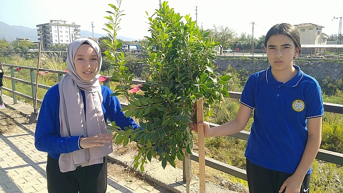 Cumhuriyetin 100. yılında 100 fidan dikimi