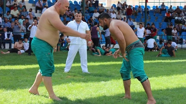 Güreş Festivali