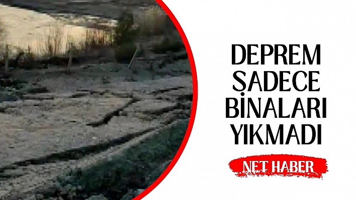 Deprem sadece binaları yıkmadı