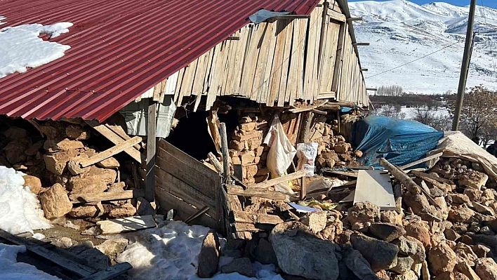 Depremzede Yetiştiricilere Faizsiz Ahır Kredisi Desteği!