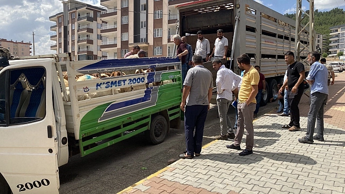 Depremzedelere hayvan dağıtıldı