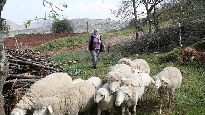 Destek için başvuru süresi uzatıldı