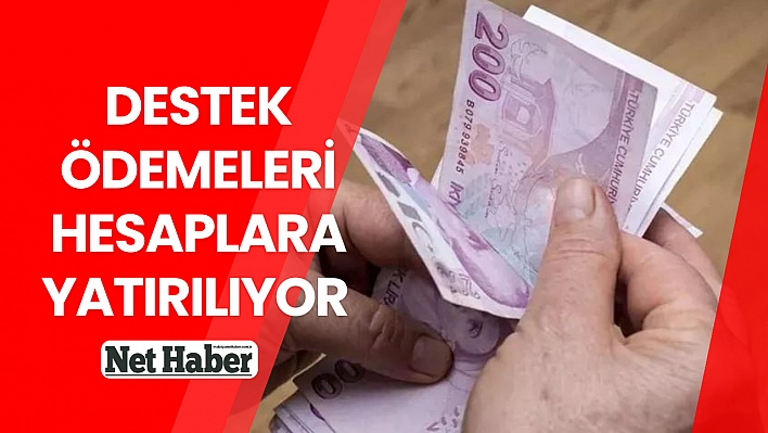 Destek ödemeleri hesaplara yatırılıyor