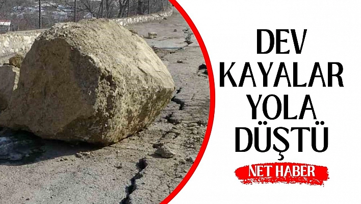 Dev kayalar yola düştü