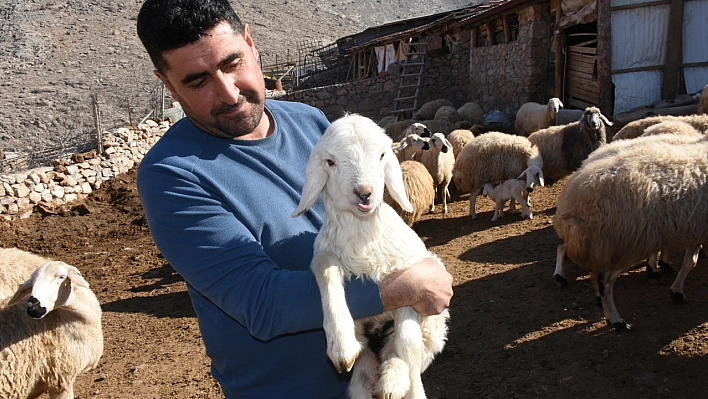 Devletimiz Bize Sahip Çıktı