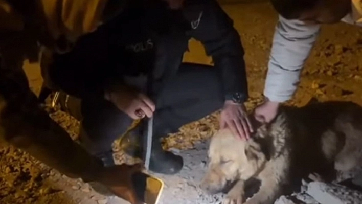 Diyarbakır'da ağzı bağlanan köpeği, polis ve vatandaşlar kurtardı