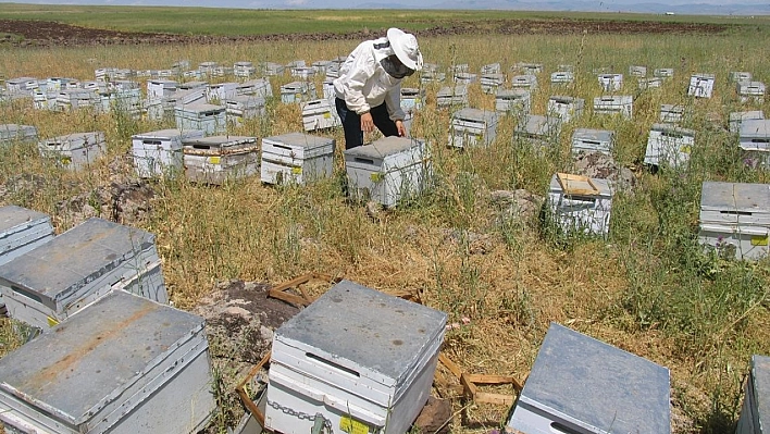 Diyarbakır'da çiftçiye IPARD'dan 158 milyon TL hibe desteği