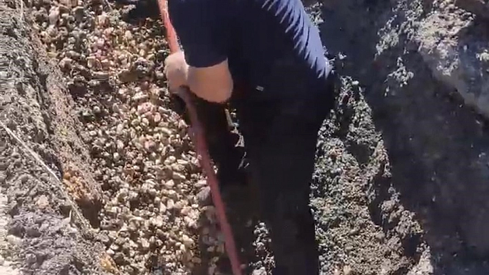 Diyarbakır'da kanalizasyonda mahsur kalan kuzu kurtarıldı