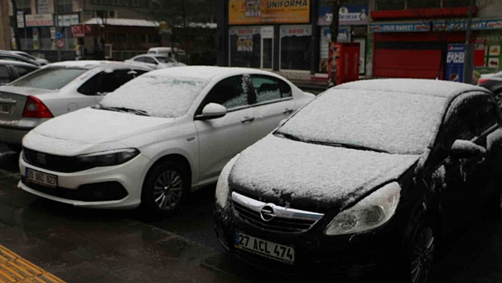 Diyarbakır'da kar yağışı etkili oldu