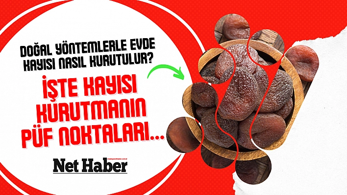 Doğal yöntemlerle evde kayısı nasıl kurutulur? İşte kayısı kurutmanın püf noktaları...