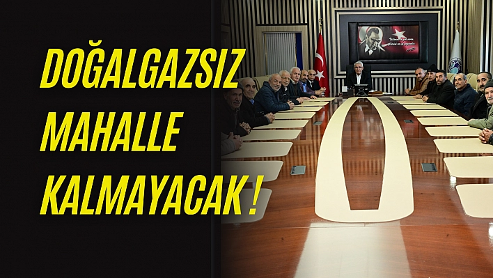 Doğalgazsız mahalle kalmayacak