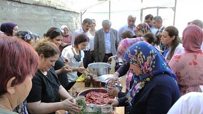 Kapya biber hasadı başladı