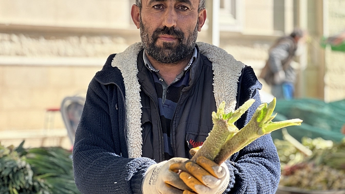 Doğunun muzu 'Işkın'