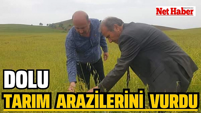 Dolu tarım arazilerini vurdu