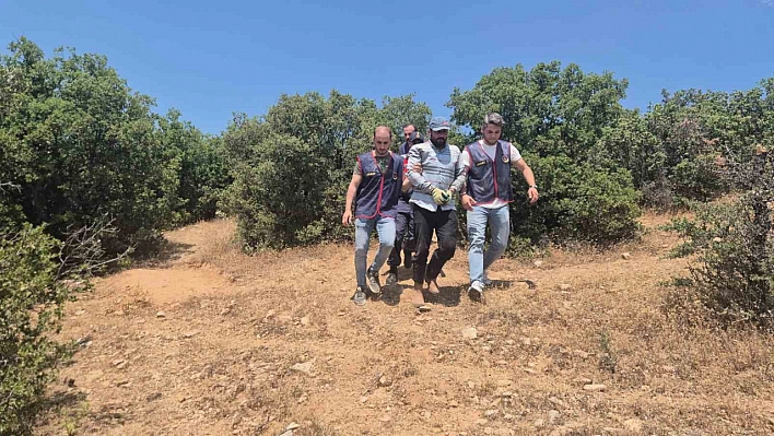 Donmamak için 7 ay ormanda saklandı