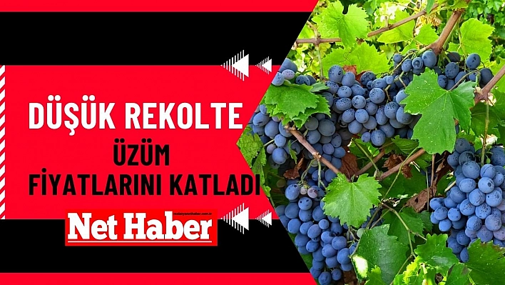 Düşük rekolte üzüm fiyatlarını katladı