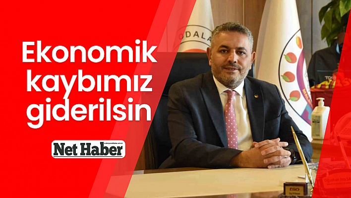 Ekonomik kaybımız giderilsin