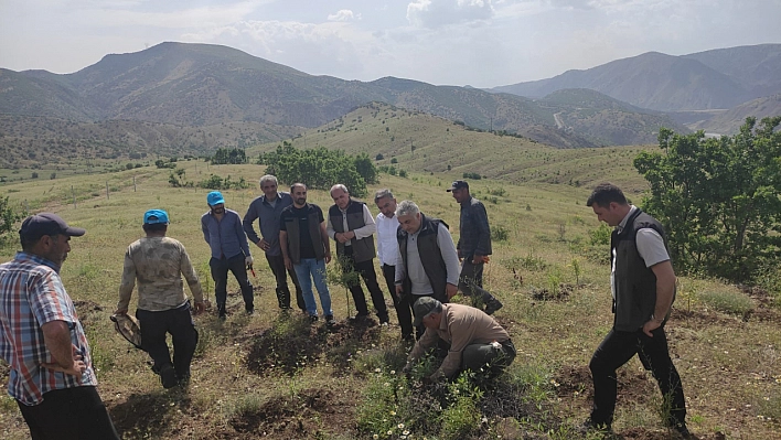 Ekonomiye katkı sağlayacak