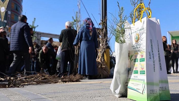 Elazığ'da 23 Bin Ücretsiz Fidan Dağıtıldı