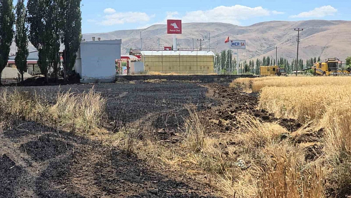 23 dönüm buğday, yanarak kül oldu