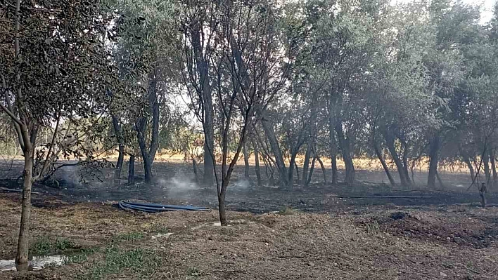 Elazığ'da korkutan yangın