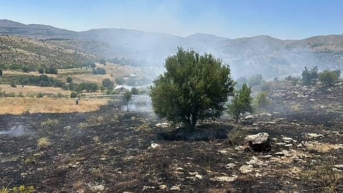 Otluk alanda çıkan yangın söndürüldü