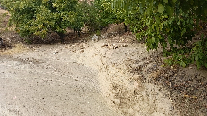 Elazığ'da sağanak yağış sele neden oldu