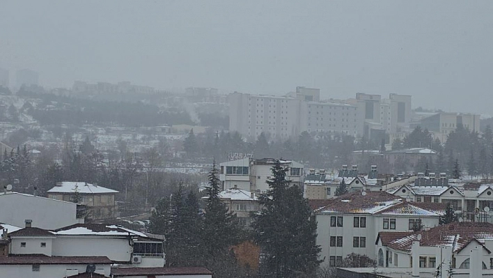 Elazığ'da sis etkili oldu