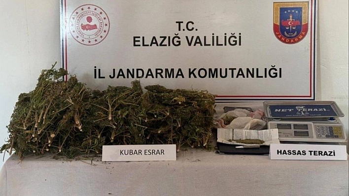 Elazığ'da Uyuşturucu Operasyonu: 1 Gözaltı