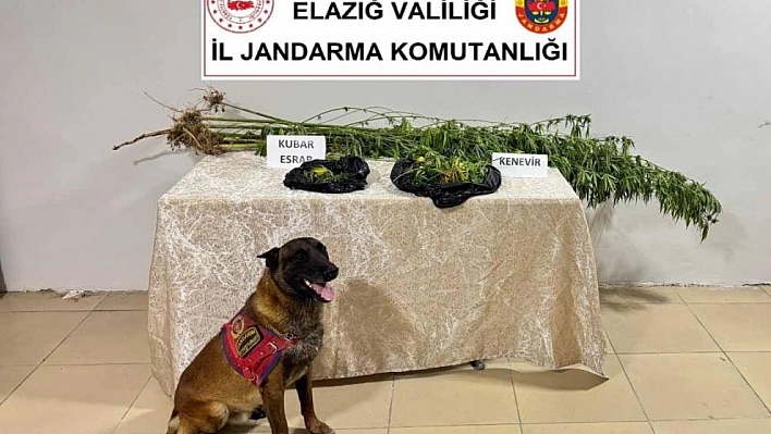 Elazığ'da uyuşturucu operasyonu!