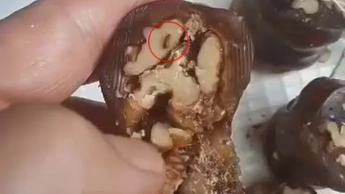 Elazığ'da vatandaşın aldığı orcikten böcek çıktı