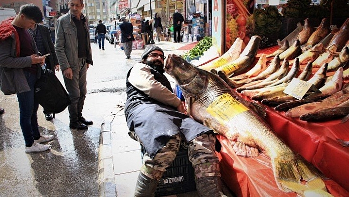 Elazığ'da son yılların en büyük turnası yakalandı, 2 metre, 138 kilo