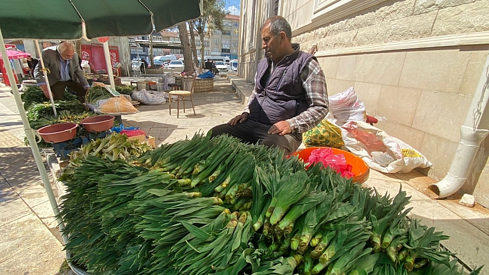 Elazığlılar çirişe doyacak