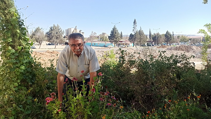 Enkaz halindeki mahalleyi yeşillendirdi