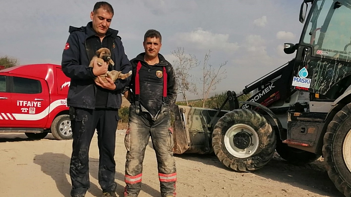 Enkazda mahsur kalan köpek kurtarıldı